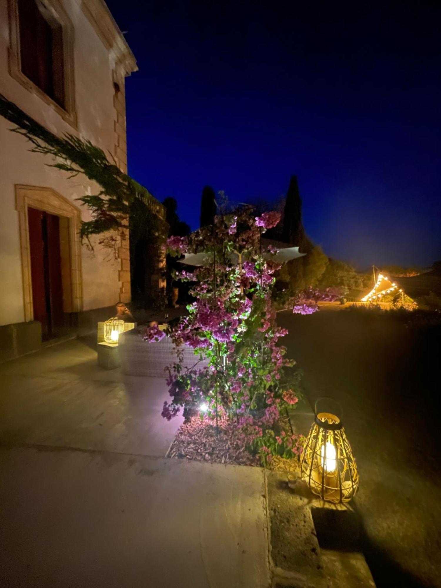 La Bellonette Marseillan  Bagian luar foto