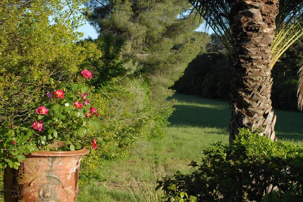 La Bellonette Marseillan  Bagian luar foto