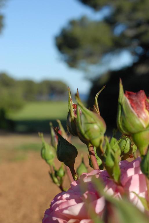 La Bellonette Marseillan  Bagian luar foto